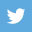 twitter-share (1)